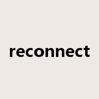reconnect是什么意思