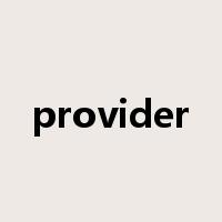 provider是什么意思