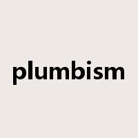 plumbism是什么意思