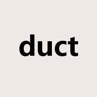 duct是什么意思