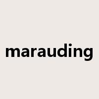 marauding是什么意思