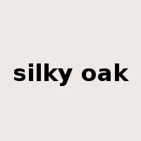 silky oak是什么意思