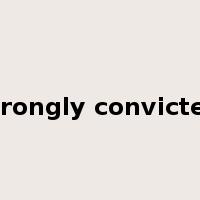 wrongly convicted是什么意思