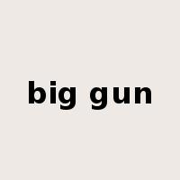 big gun是什么意思