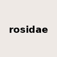 rosidae是什么意思