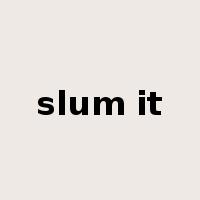 slum it是什么意思