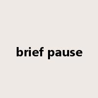 brief pause是什么意思