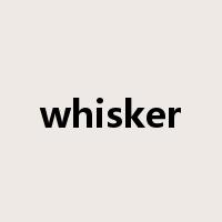 whisker是什么意思