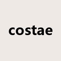 costae是什么意思