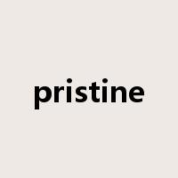 pristine是什么意思