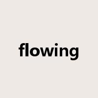 flowing是什么意思