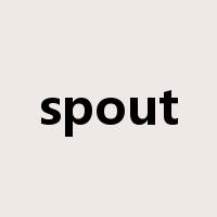 spout是什么意思