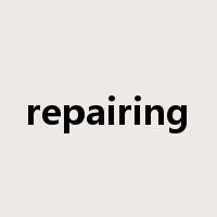 repairing是什么意思