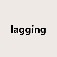 lagging是什么意思