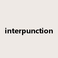 interpunction是什么意思