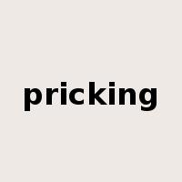 pricking是什么意思