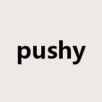 pushy是什么意思