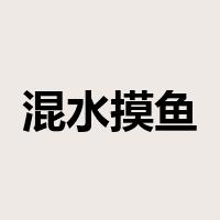 混水摸鱼是什么意思