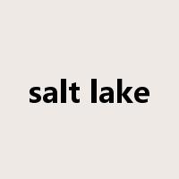 salt lake是什么意思