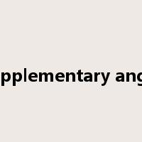 supplementary angle是什么意思