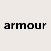 armour是什么意思