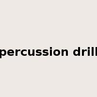 percussion drill是什么意思
