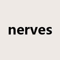 nerves是什么意思