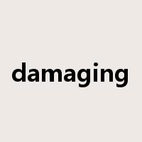 damaging是什么意思