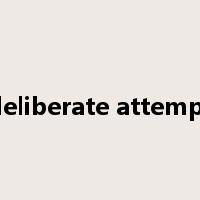 deliberate attempt是什么意思