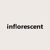 inflorescent是什么意思