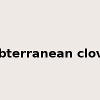 subterranean clover是什么意思