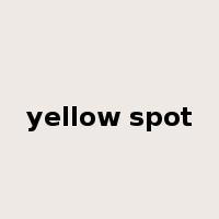 yellow spot是什么意思