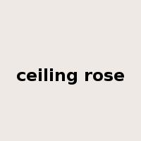 ceiling rose是什么意思
