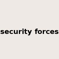 security forces是什么意思