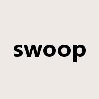 swoop是什么意思