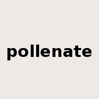 pollenate是什么意思