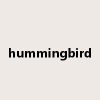 hummingbird是什么意思