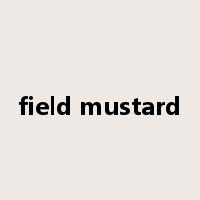 field mustard是什么意思