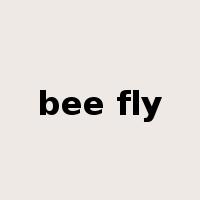 bee fly是什么意思