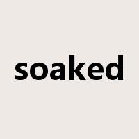 soaked是什么意思