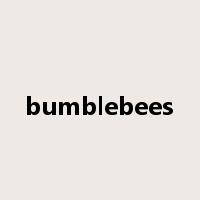 bumblebees是什么意思