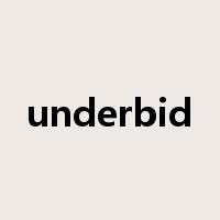 underbid是什么意思