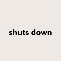 shuts down是什么意思