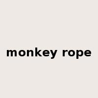 monkey rope是什么意思