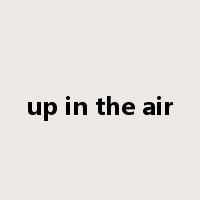 up in the air是什么意思