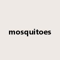 mosquitoes是什么意思