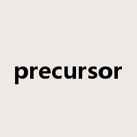 precursor是什么意思