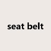 seat belt是什么意思