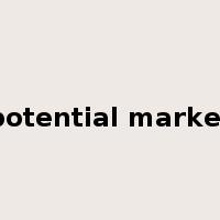 potential market是什么意思