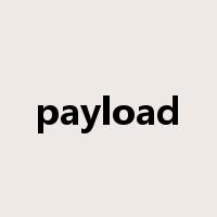 payload是什么意思